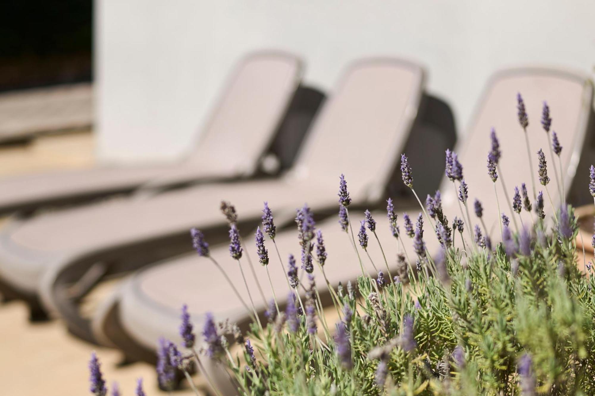 פורץ Apartments Martello Garden מראה חיצוני תמונה