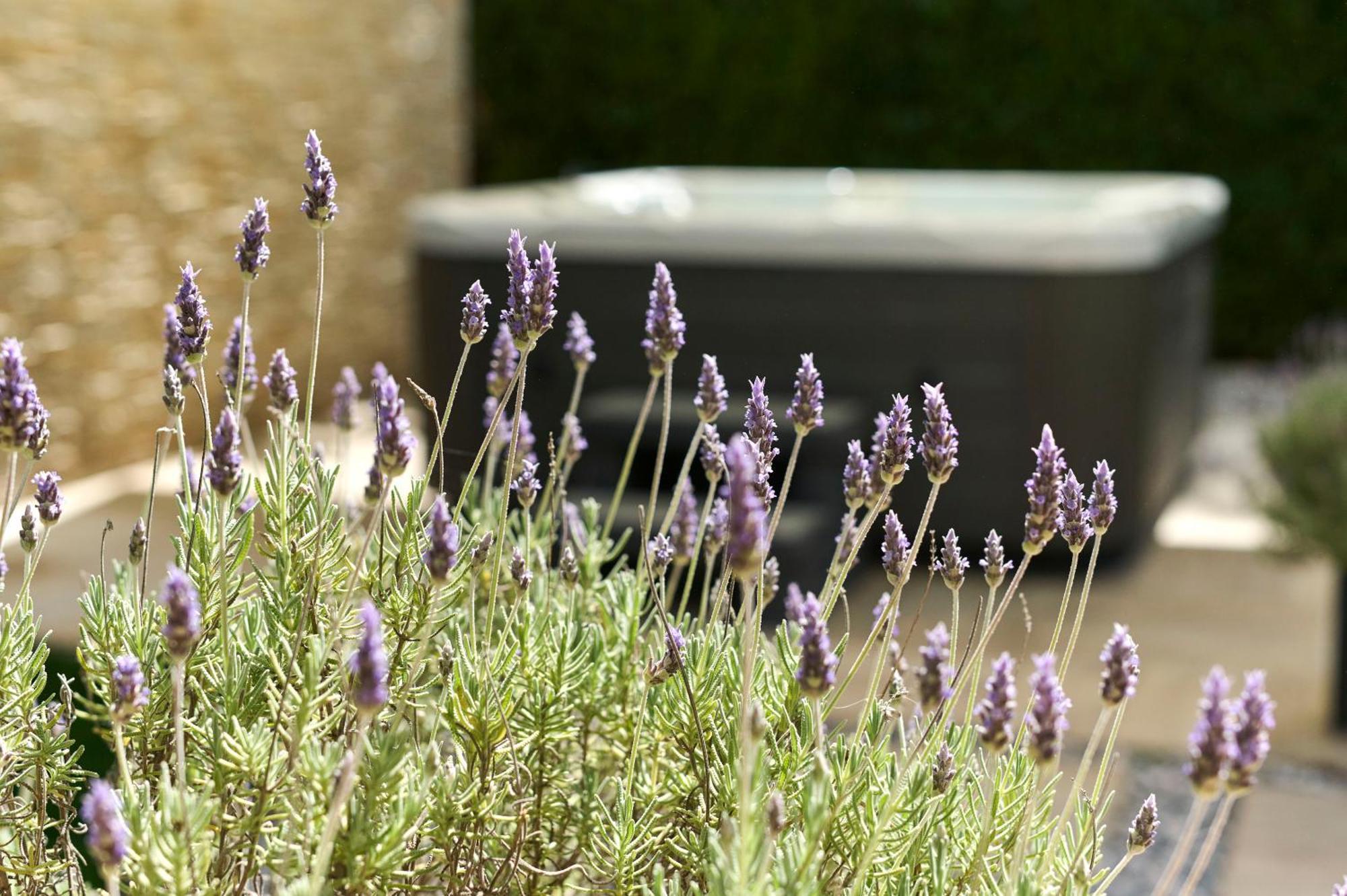 פורץ Apartments Martello Garden מראה חיצוני תמונה